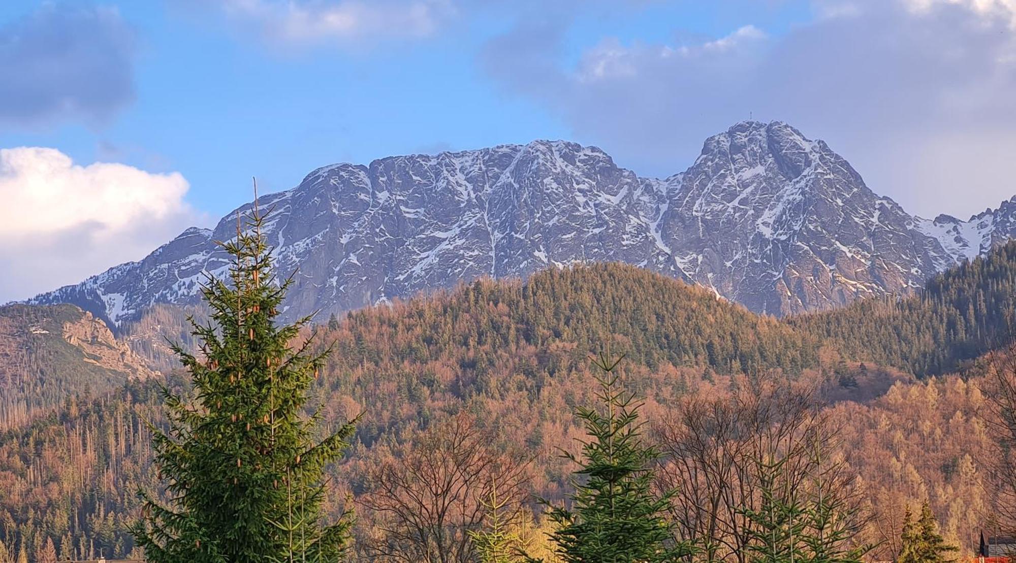 Apartamenty Convallis Kościelisko Esterno foto